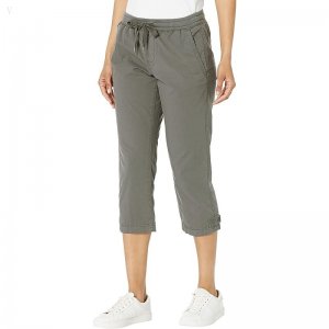 L.L.Bean Ripstop Pull-On Capri Pants Dark Taupe ID-m9hiFhG5
