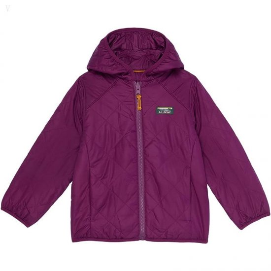 L.L.Bean Mountain Bound Reversible Hooded Jacket (Toddler) Plum Grape/Magenta Haze ID-mEi5coMK