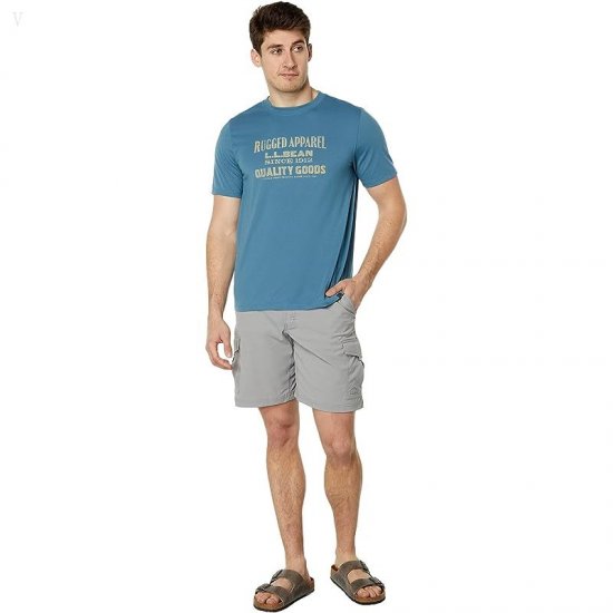 L.L.Bean Tropicwear Shorts Regular 9\\ Frost Gray ID-0Wv7mwxY