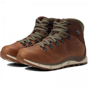L.L.Bean Alpine Hiking Sneaker Leather Maple Brown/Dark Earth ID-qK9NbF8h