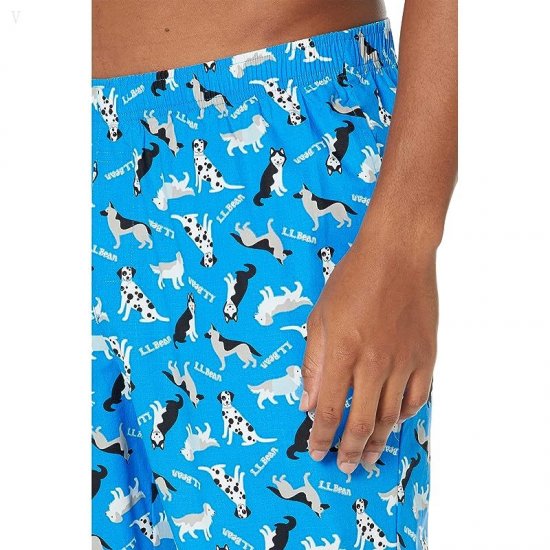 L.L.Bean Comfort Stretch Woven Sleep Pants Regular Light Ocean Dog ID-2D85Cqjn