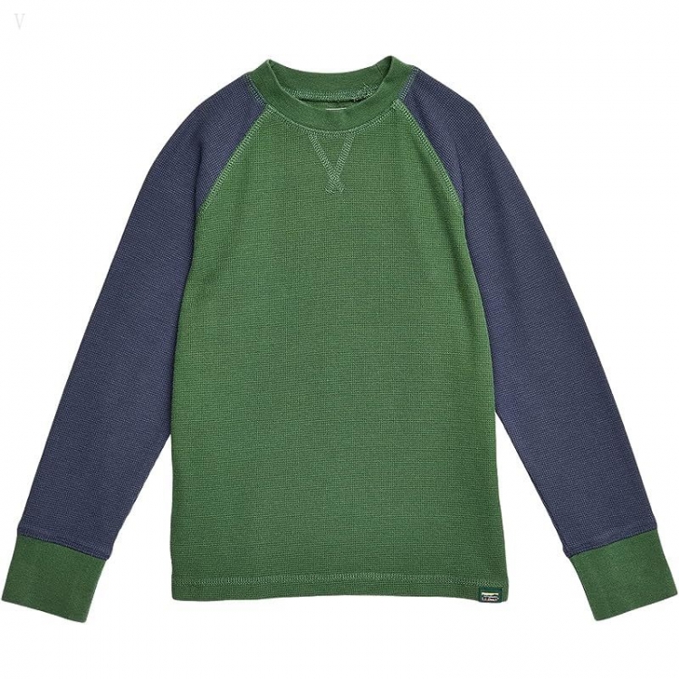 L.L.Bean Unshrinkable Mini Waffle Long Sleeve (Little Kids) Rain Forest/Carbon Navy ID-3l7KThbi - Click Image to Close