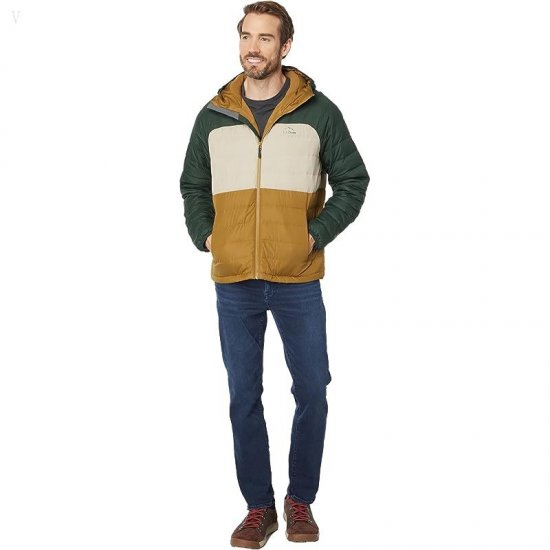 L.L.Bean Bean\'s Down Hooded Jacket Color-Block Fatigue Green/Deep Balsam ID-RJVu7Ktz