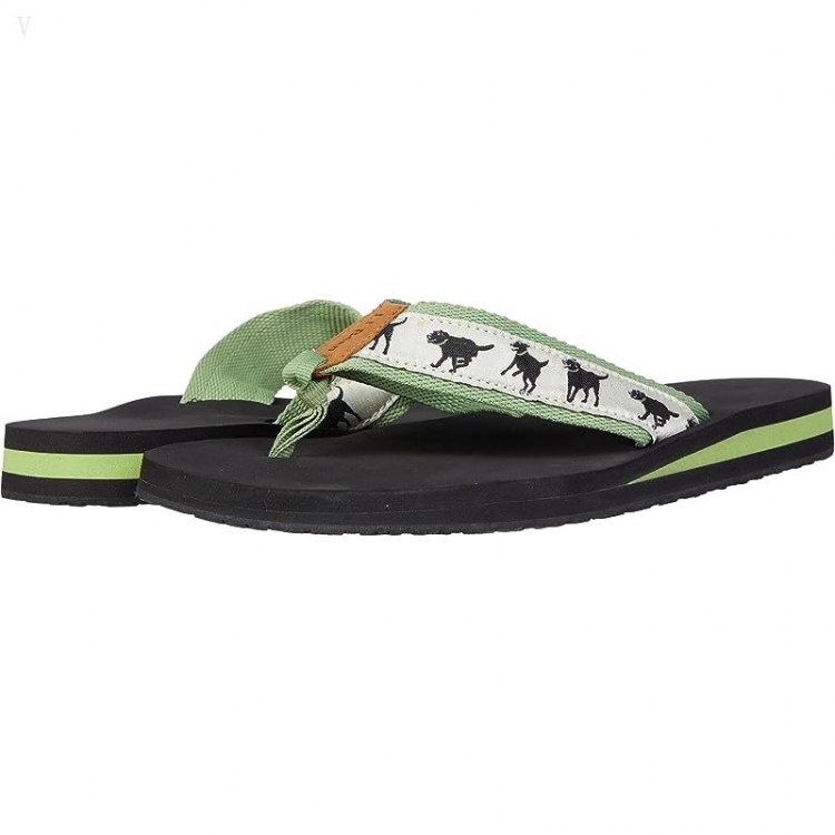 L.L.Bean Classic Maine Isle Flip-Flop 3 Motif Cream/Green Tea Lab Fetch ID-jW7Dguu7 - Click Image to Close