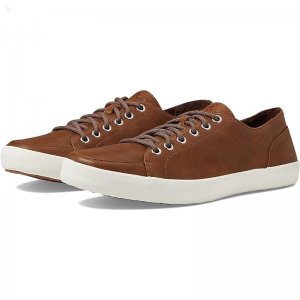 L.L.Bean Mountainville Shoe Lace Leather Dark Cocoa ID-OcPdx7da