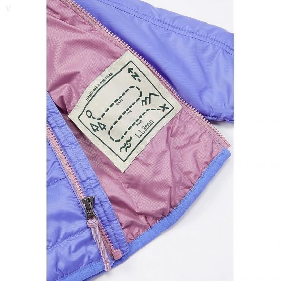 L.L.Bean Primaloft Packaway Jacket (Toddler) Icy Violet ID-4kQru66T