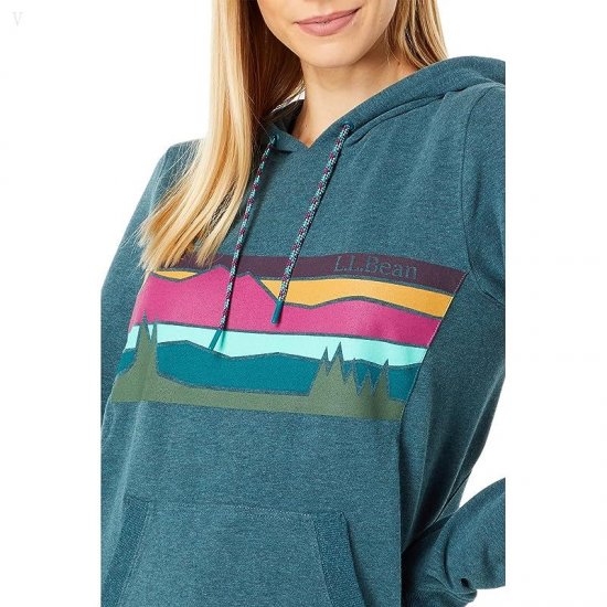 L.L.Bean Bean\'s Cozy Camp Hoodie Graphic Spruce Heather Colorbars ID-lqwgdWax