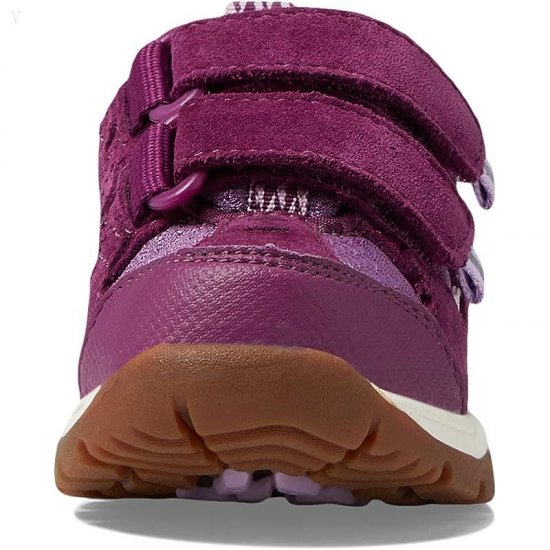 L.L.Bean Trail Model Low Hiker (Toddler) Violet Chalk/Purple Clover ID-gPfZxm7M