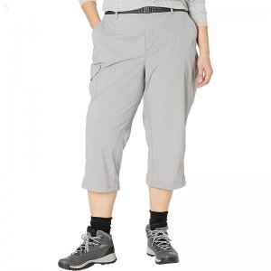 L.L.Bean Plus Size Tropicwear Capri Pants Frost Gray ID-n1tb3fa7