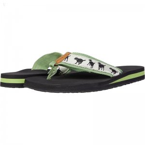 L.L.Bean Classic Maine Isle Flip-Flop 3 Motif Cream/Green Tea Lab Fetch ID-jW7Dguu7