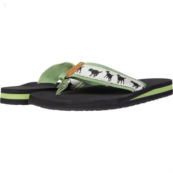L.L.Bean Classic Maine Isle Flip-Flop 3 Motif Cream/Green Tea Lab Fetch ID-jW7Dguu7