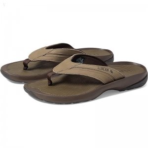 L.L.Bean Swift River Flip-Flop Sandal Gunsmoke ID-V6doB6BP