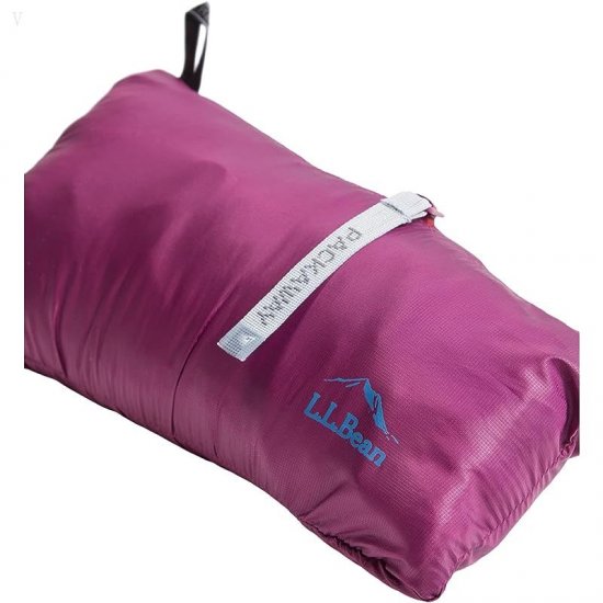 L.L.Bean Primaloft Packaway Hooded Color-Block Jacket (Little Kids) Dark Mulberry/Light Mauve ID-eg0QpXE9