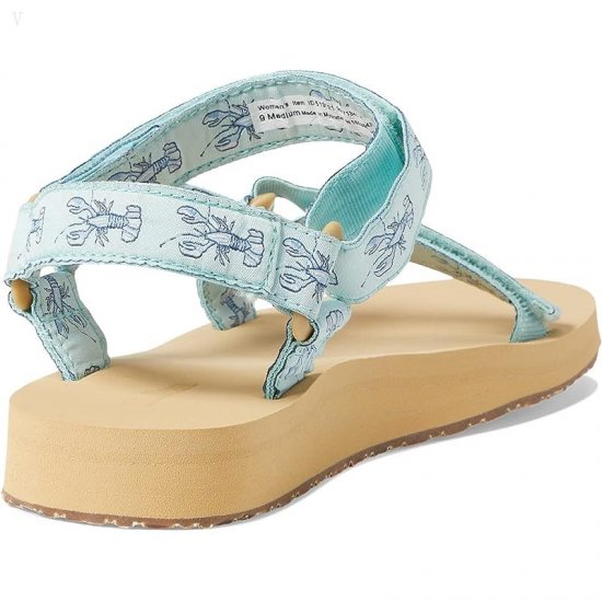 L.L.Bean Maine Isle Sara Fitz 4 Point Sandal Print Aqua Teal Lobster ID-qwZGnwhF