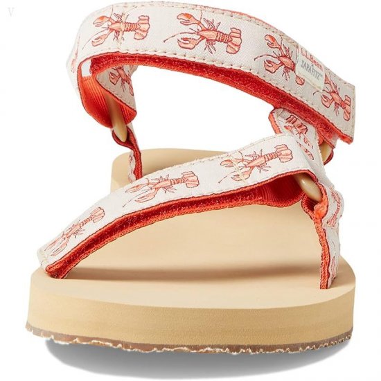L.L.Bean Maine Isle Sara Fitz 4 Point Sandal Print Paperwhite Lobster ID-Reaz8RTI