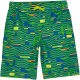 L.L.Bean Beansport Swim Shorts Print (Little Kids) Bright Kelly Geo ID-YzlUknvk L.L.Bean Beansport Swim Shorts Print (Little Kids) Bright Kelly Geo ID-YzlUknvk