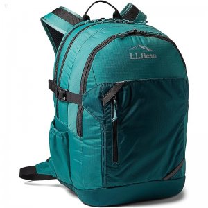 L.L.Bean 42 L Comfort Carry Portable Locker Rustic Green/Dark Pine ID-6eNwW9JA