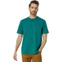 L.L.Bean Carefree Unshrinkable T-Shirt without Pocket Short Sleeve Antique Green ID-HexZM6gQ