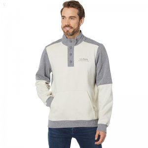 L.L.Bean 1912 Sweatshirt Button Mock Color-Block Silver Birch/Gray Heather ID-iRLnlmp8