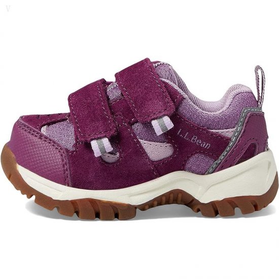 L.L.Bean Trail Model Low Hiker (Toddler) Violet Chalk/Purple Clover ID-gPfZxm7M
