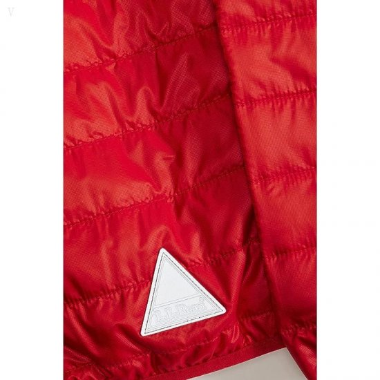 L.L.Bean Primaloft Packaway Hooded Color-Block Jacket (Little Kids) Dark Red/Mountain Red ID-D6UjeqGl