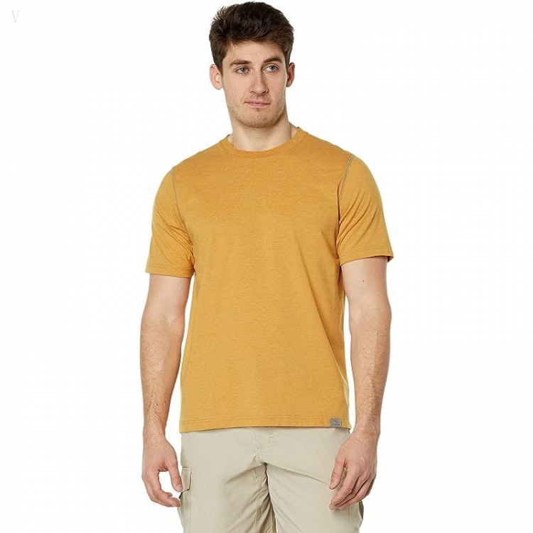 L.L.Bean Insect Shield Field Tee Short Sleeve Regular Dark Amber ID-dsNt9iJi - Click Image to Close