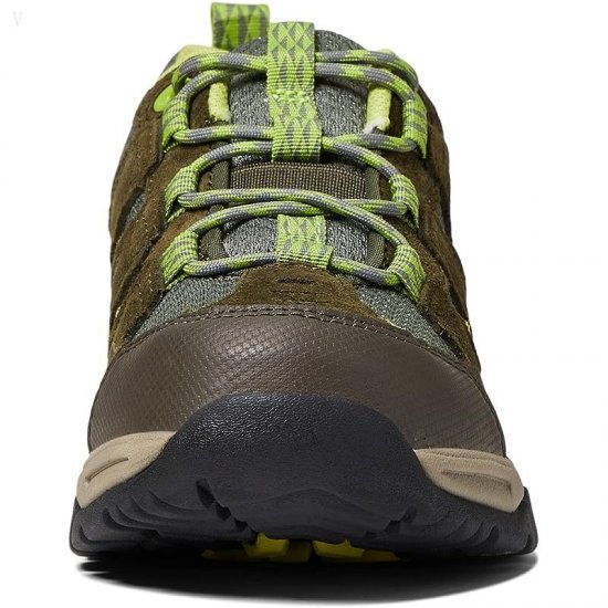 L.L.Bean Trail Model Hiker Low (Toddler/Little Kid/Big Kid) Dark Loden ID-C56pv14e