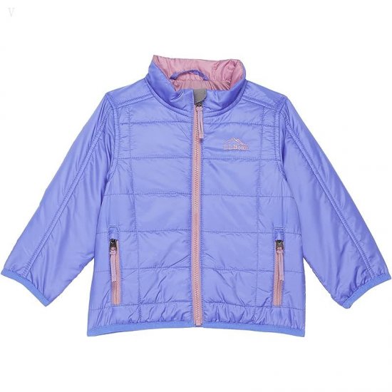 L.L.Bean Primaloft Packaway Jacket (Toddler) Icy Violet ID-4kQru66T