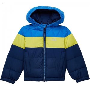 L.L.Bean Bean's Down Jacket Color-Block (Toddler) Yellow Citron ID-SXR9WXzb