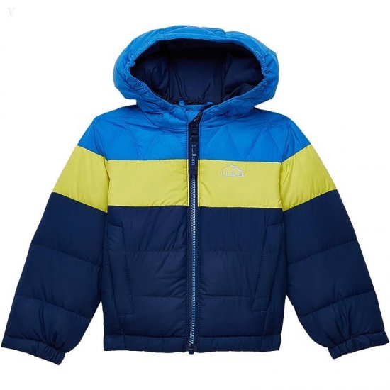 L.L.Bean Bean's Down Jacket Color-Block (Toddler) Yellow Citron ID-SXR9WXzb