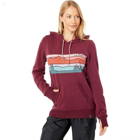 L.L.Bean Bean's Cozy Camp Hoodie Graphic Deep Port Heather Colorbars ID-05ETe2aE