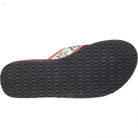 L.L.Bean Classic Maine Isle Flip-Flop 3 Motif Turtle/Natural ID-OICn2FPa
