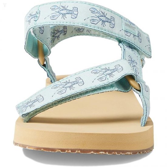 L.L.Bean Maine Isle Sara Fitz 4 Point Sandal Print Aqua Teal Lobster ID-qwZGnwhF