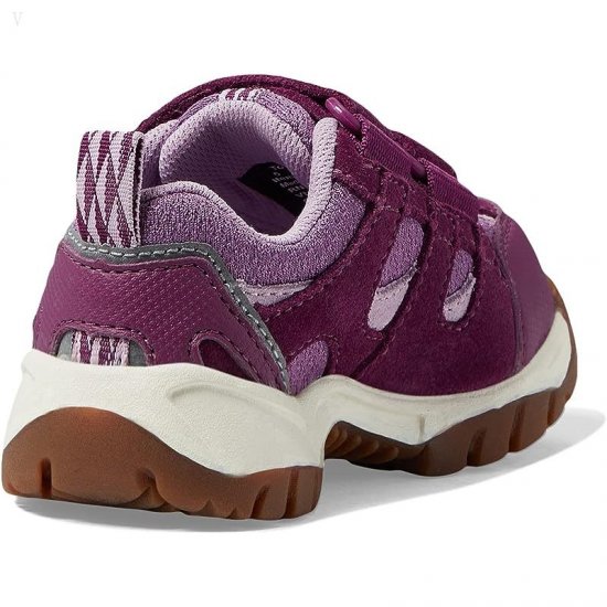 L.L.Bean Trail Model Low Hiker (Toddler) Violet Chalk/Purple Clover ID-gPfZxm7M
