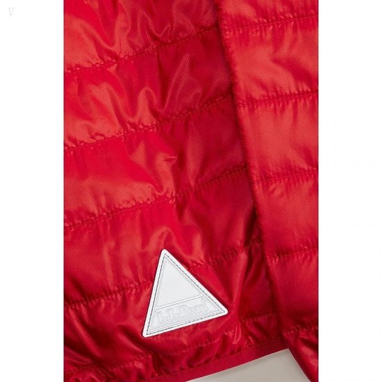 L.L.Bean Primaloft Packaway Hooded Color-Block Jacket (Big Kids) Dark Red/Mountain Red ID-HmDiUnR3