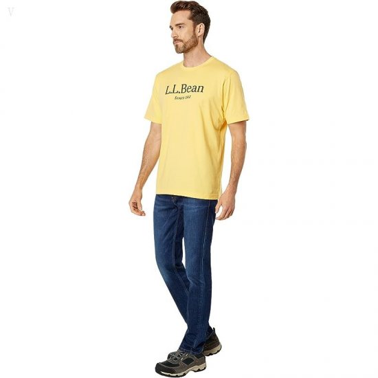 L.L.Bean Carefree Unshrinkable Tee without Pocket Short Sleeve Logo Sunset Gold/Chelt Logo ID-e9P2bZnB