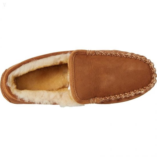 L.L.Bean Wicked Good Slipper Venetian Brown ID-GY9FMPDU