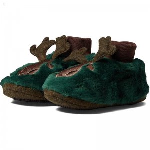L.L.Bean Animal Paws (Toddler/Little Kid/Big Kid) Maine Moose ID-3gbxiHqi