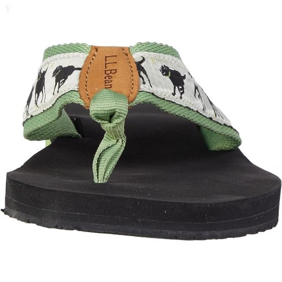 L.L.Bean Classic Maine Isle Flip-Flop 3 Motif Cream/Green Tea Lab Fetch ID-jW7Dguu7
