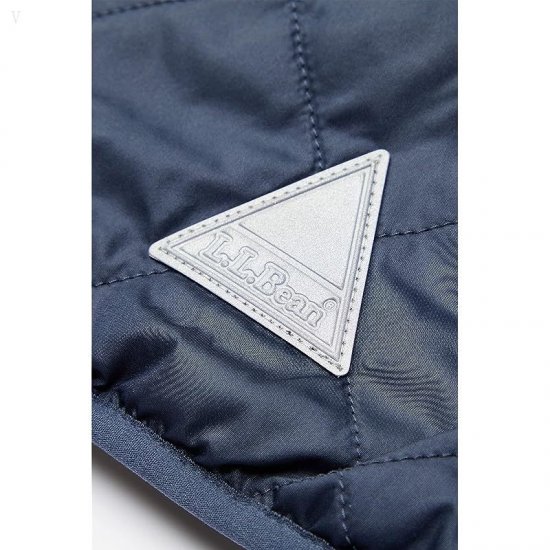 L.L.Bean Mountain Bound Reversible Hooded Jacket (Little Kids) Carbon Navy/Soapstone ID-s37EDhlV
