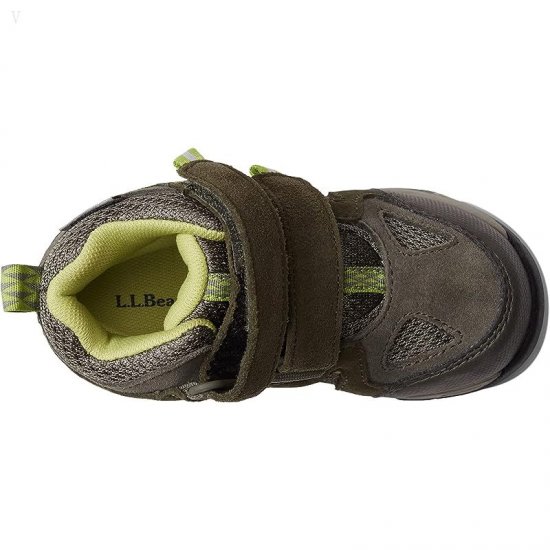 L.L.Bean Trail Model Water Resistant Hiker (Toddler) Dark Loden ID-NPTMDKMG