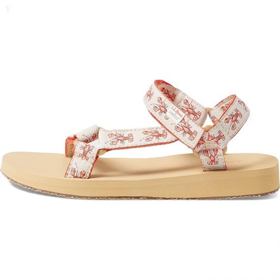 L.L.Bean Maine Isle Sara Fitz 4 Point Sandal Print Paperwhite Lobster ID-Reaz8RTI