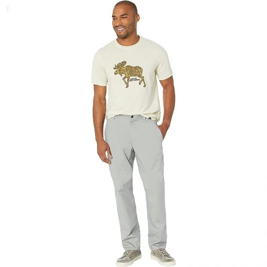 L.L.Bean Performance Chino Classic Fit Pants Gray Pebble ID-bdAegmSI