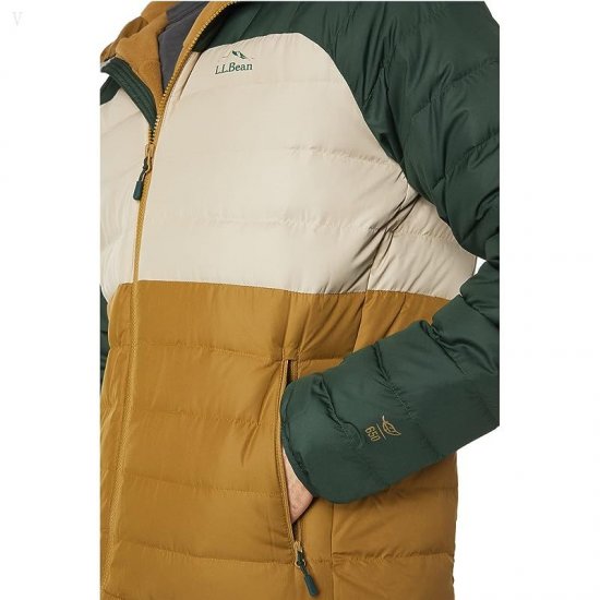 L.L.Bean Bean\'s Down Hooded Jacket Color-Block Fatigue Green/Deep Balsam ID-RJVu7Ktz