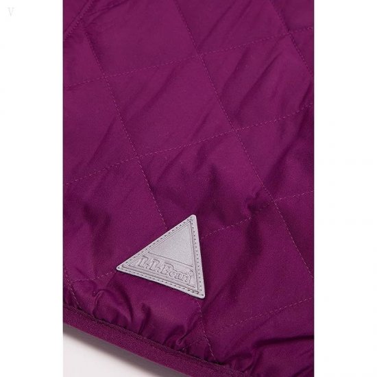 L.L.Bean Mountain Bound Reversible Hooded Jacket (Toddler) Plum Grape/Magenta Haze ID-mEi5coMK