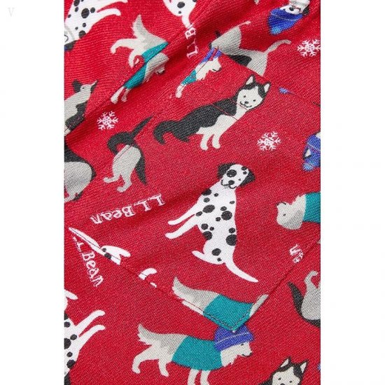 L.L.Bean Flannel Pajamas (Big Kids) Bright Blue Winter Dogs ID-IXExqNHG