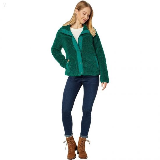 L.L.Bean Bean\'s Sherpa Fleece Jacket Emerald Spruce ID-EKasibJ5