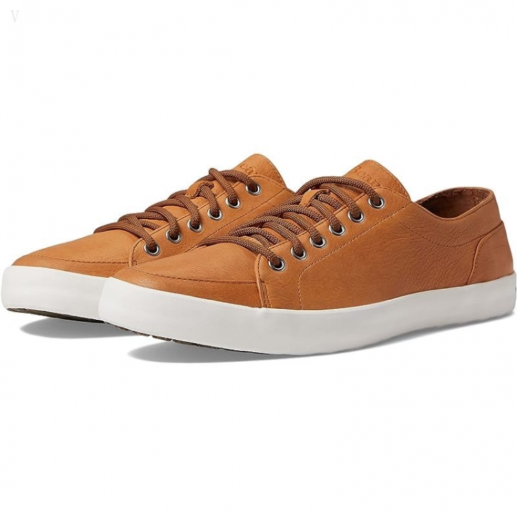 L.L.Bean Mountainville Shoe Lace Leather Light Coffee ID-uv5oBWtw - Click Image to Close