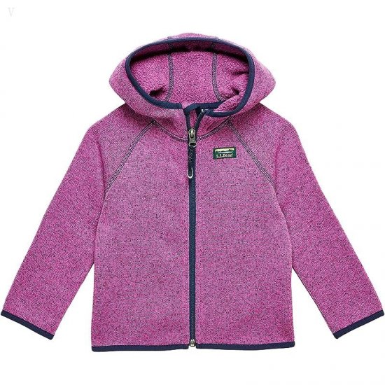 L.L.Bean Bean's Sweater Fleece Full Zip (Toddler) Dark Mulberry ID-fnjJMcJy