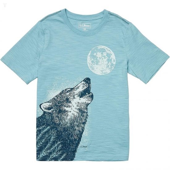 L.L.Bean Graphic Tee Glow in the Dark (Big Kids) Silver Blue Wolf ID-G7a1JK20